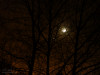 lune